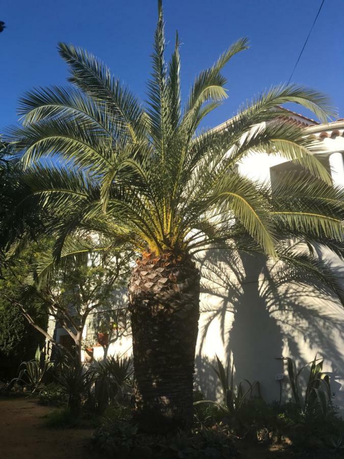 Rez De Villa Pebrier Fréjus Exterior photo