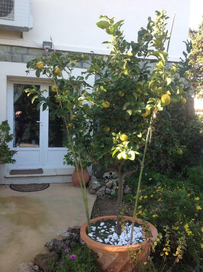 Rez De Villa Pebrier Fréjus Exterior photo